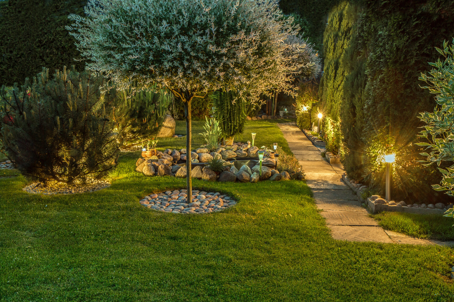 A garden with trees and bushes lit up at night.